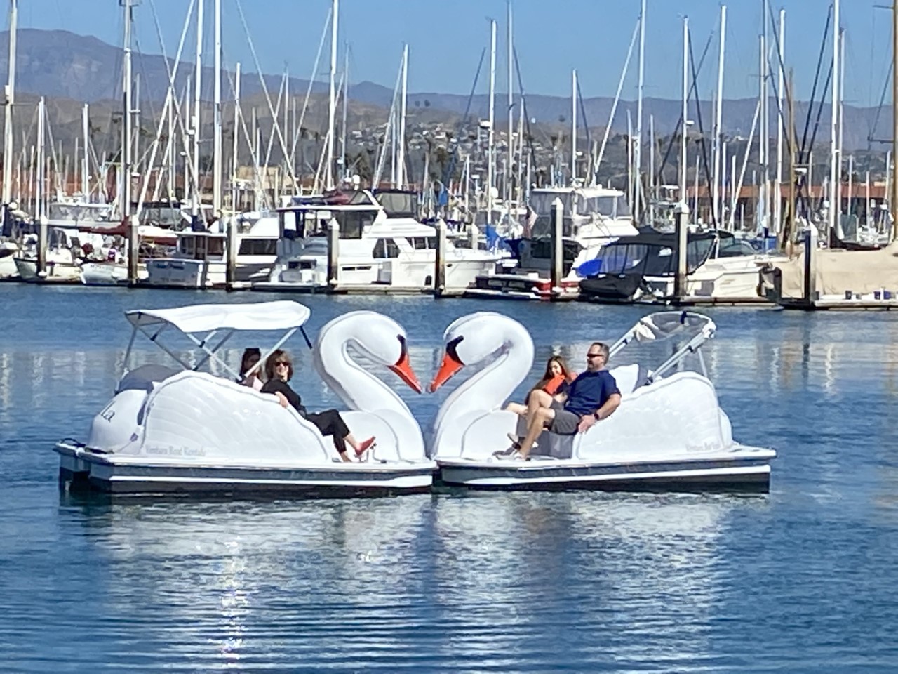 ventura harbor swan boat rentals Kenisha Bannister